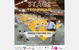 Stage Technique Vétérans - 17 novembre 2024 - Montigny le Bretonneux